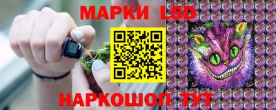 apvp Ачхой-Мартан